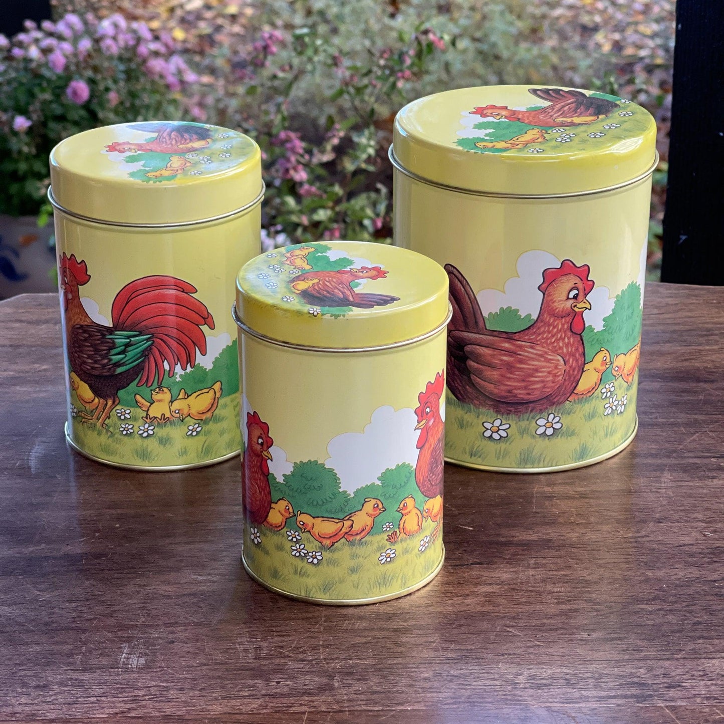 Set van 3 blikken met kippen en kuikentjes - Bamestra Curiosa