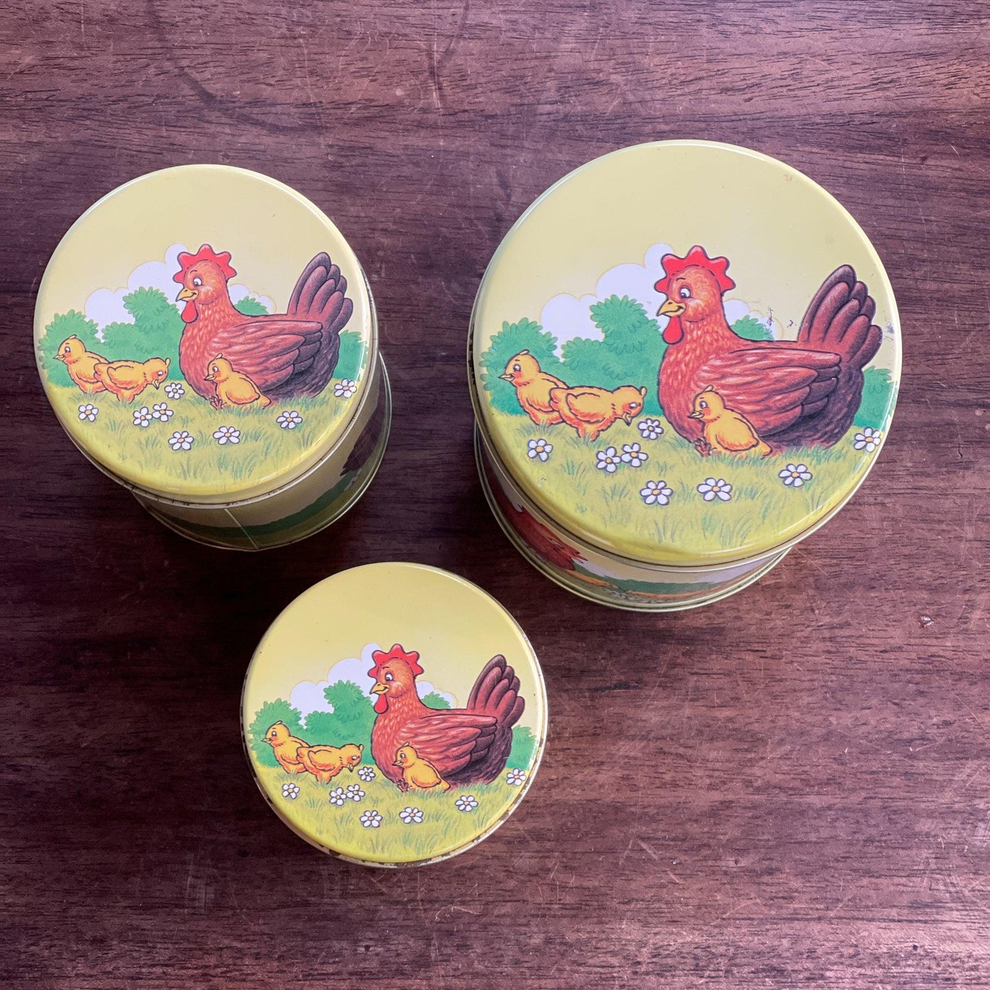 Set van 3 blikken met kippen en kuikentjes - Bamestra Curiosa