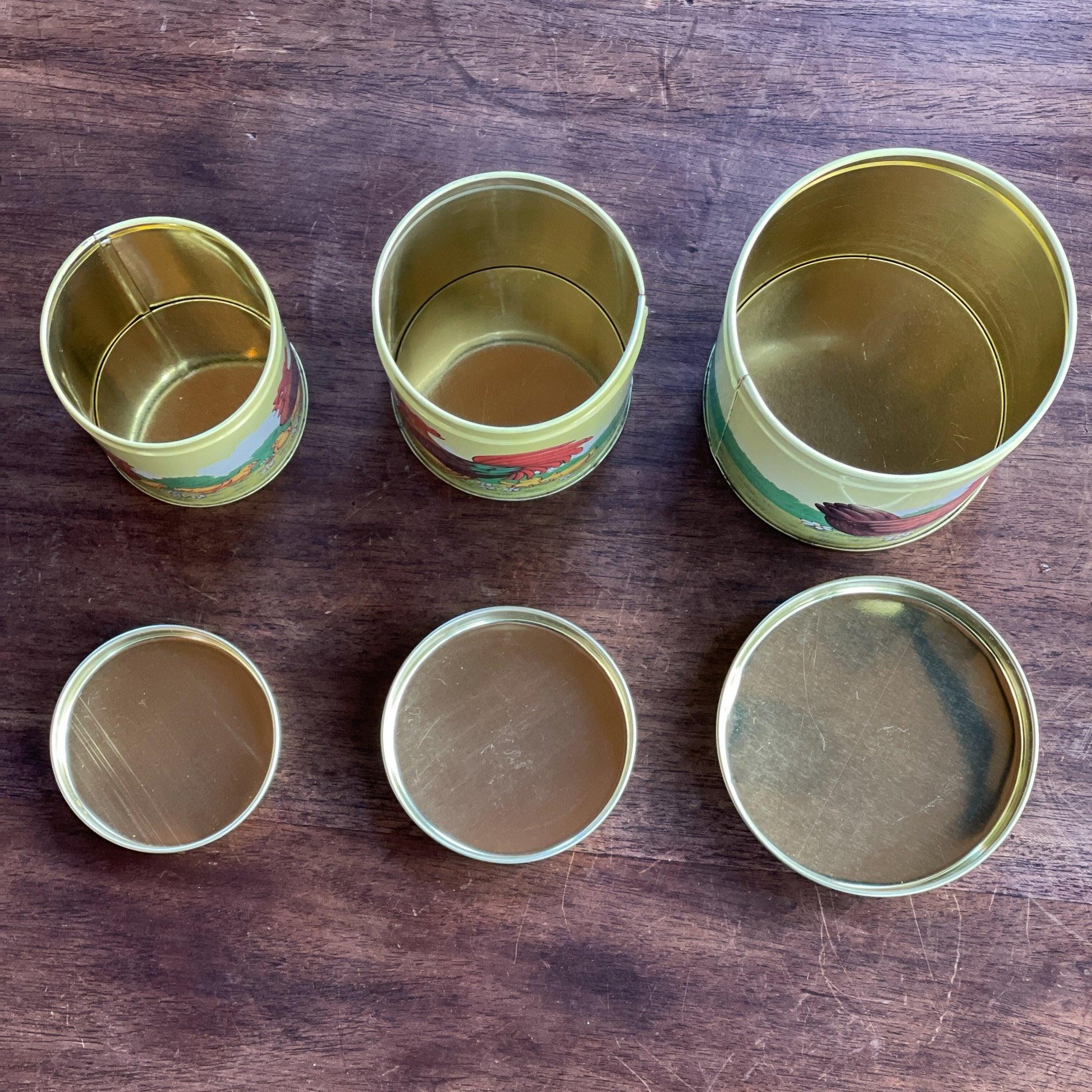 Set van 3 blikken met kippen en kuikentjes - Bamestra Curiosa