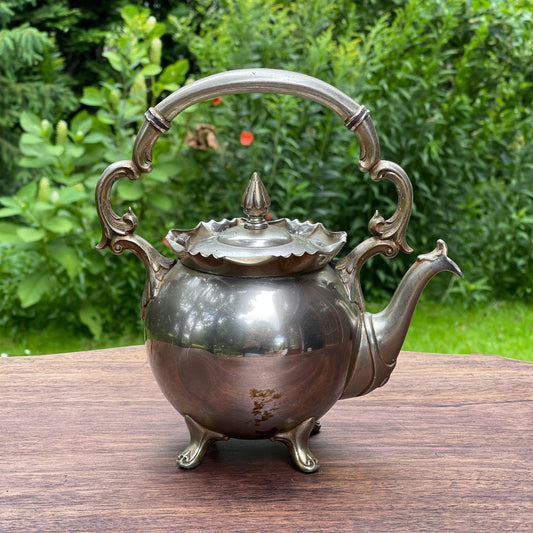 Sierlijke theepot - Bamestra Curiosa