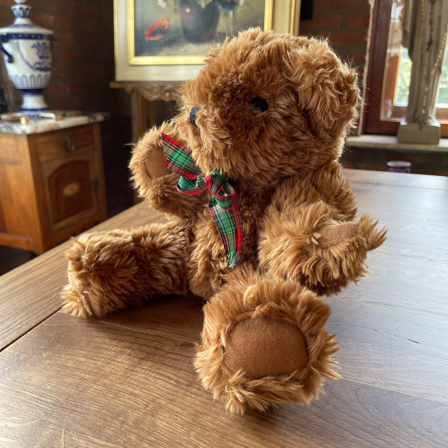 Teddybeer - Bamestra Curiosa