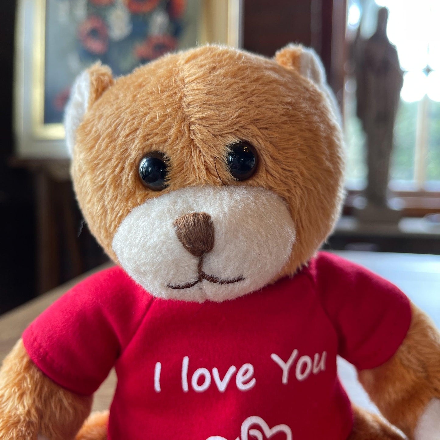 Teddybeer I Love You - Bamestra Curiosa