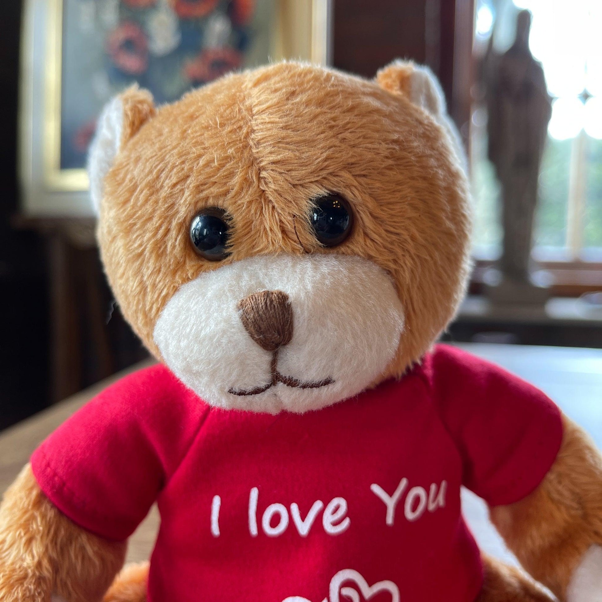 Teddybeer I Love You - Bamestra Curiosa
