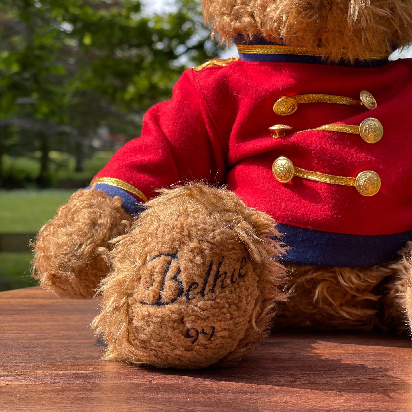 Teddybeer van Belkie (1999) - Bamestra Curiosa