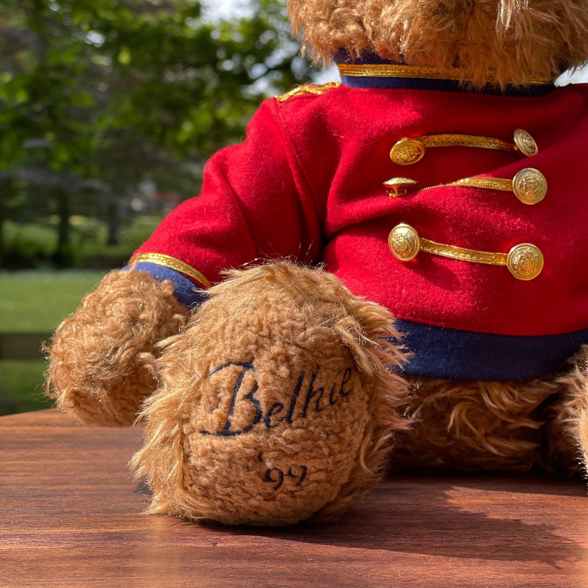 Teddybeer van Belkie (1999) - Bamestra Curiosa