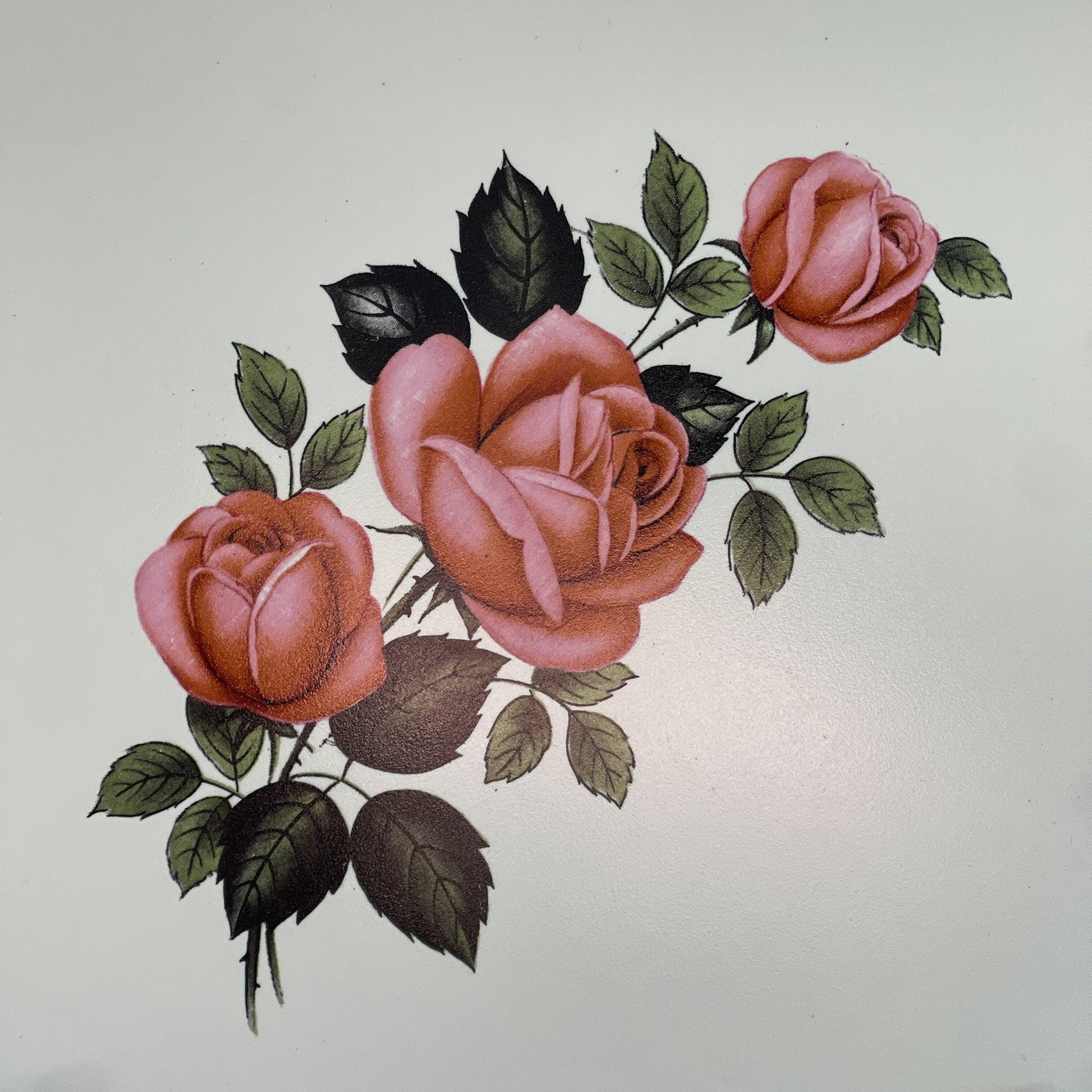 Tegel onderzetter met rozen Royal Sphinx - Bamestra Curiosa