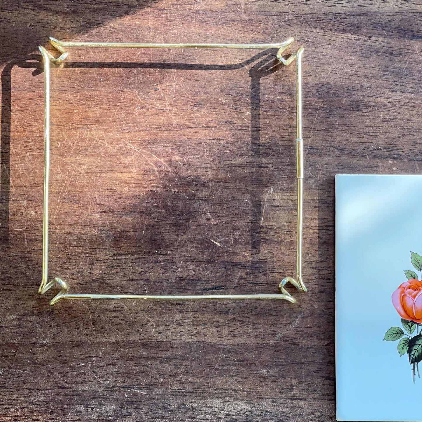 Tegel onderzetter met rozen Royal Sphinx - Bamestra Curiosa