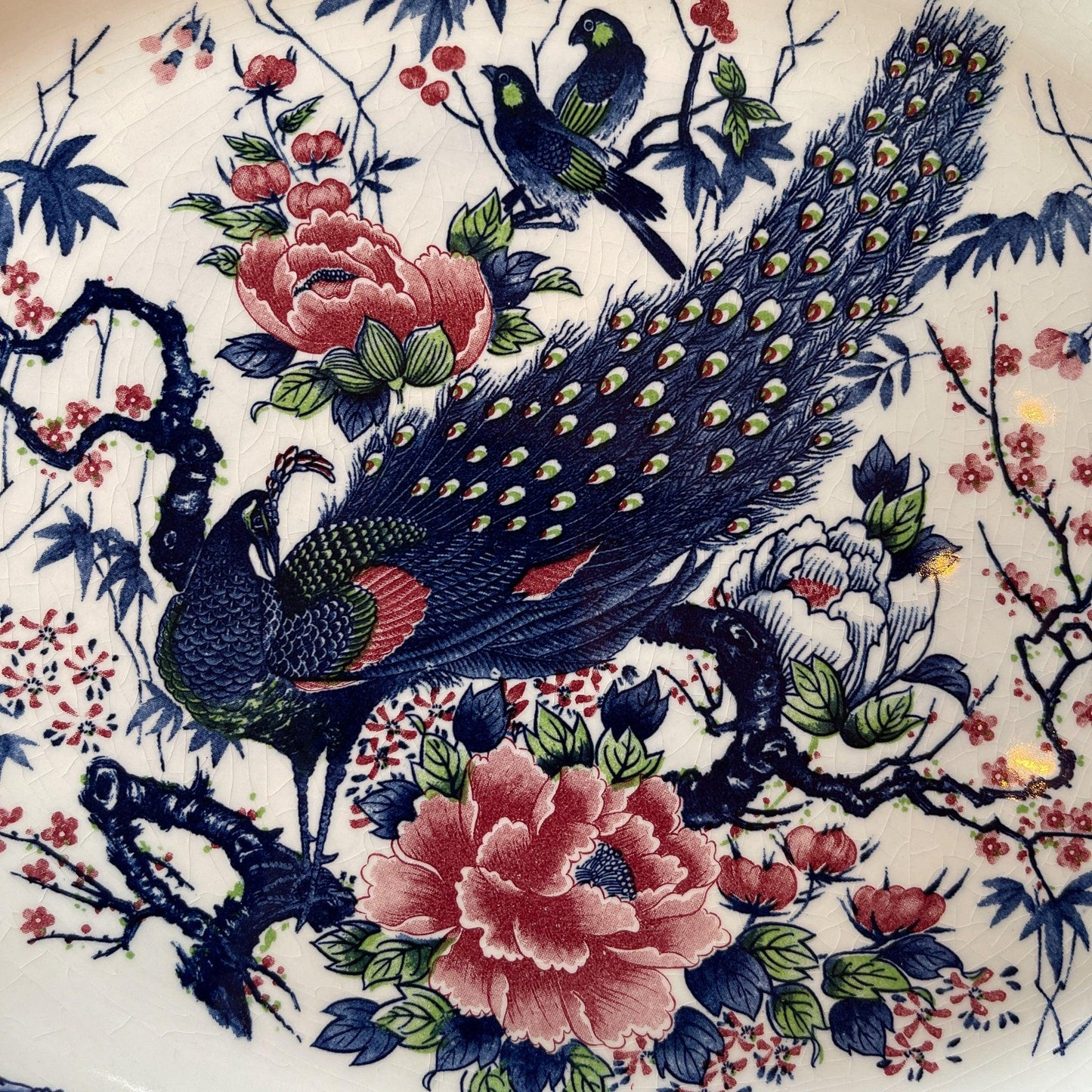 Twee grote vintage ovale borden met vogels - Bamestra Curiosa