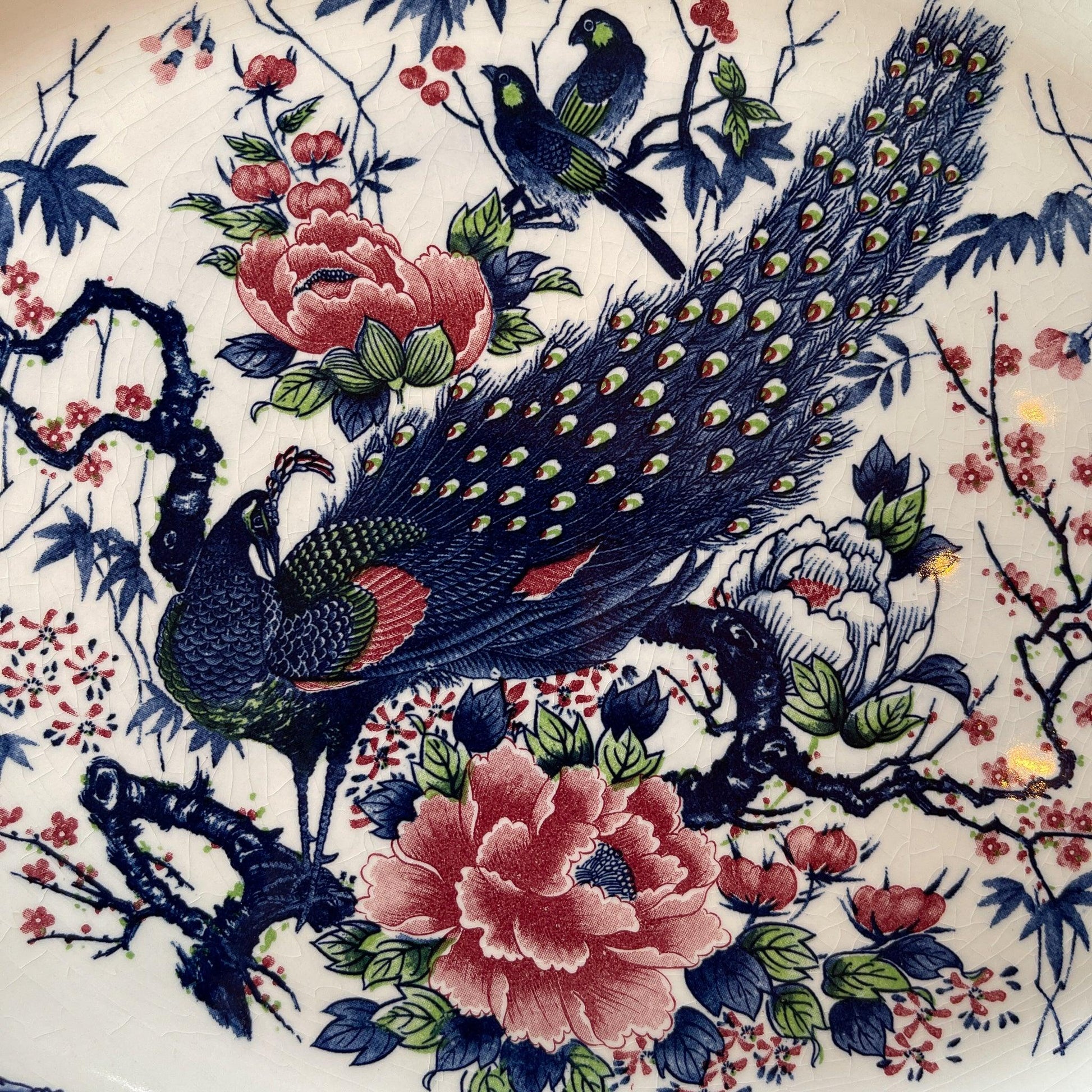 Twee grote vintage ovale borden met vogels - Bamestra Curiosa