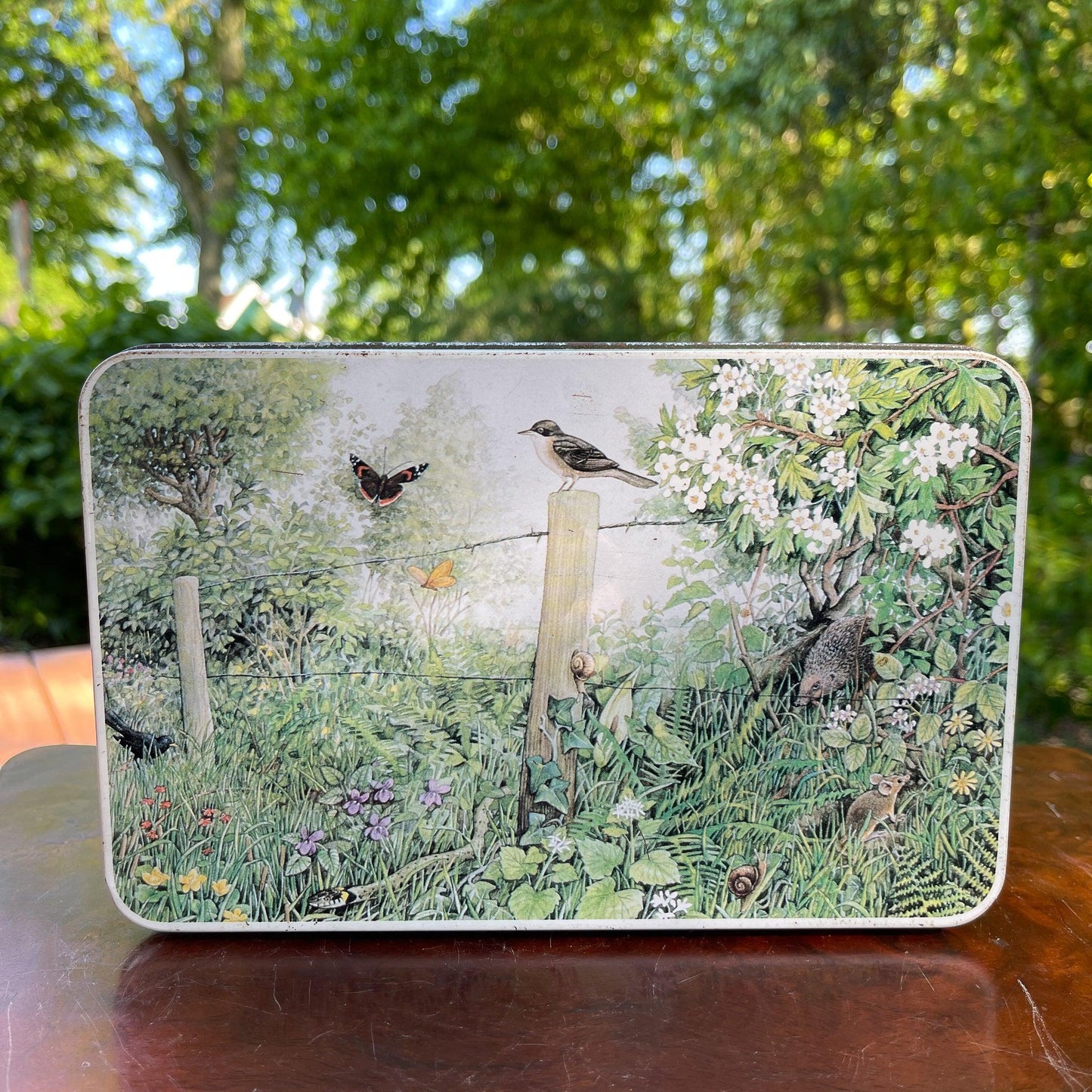 Verkade koekblik - Bamestra Curiosa