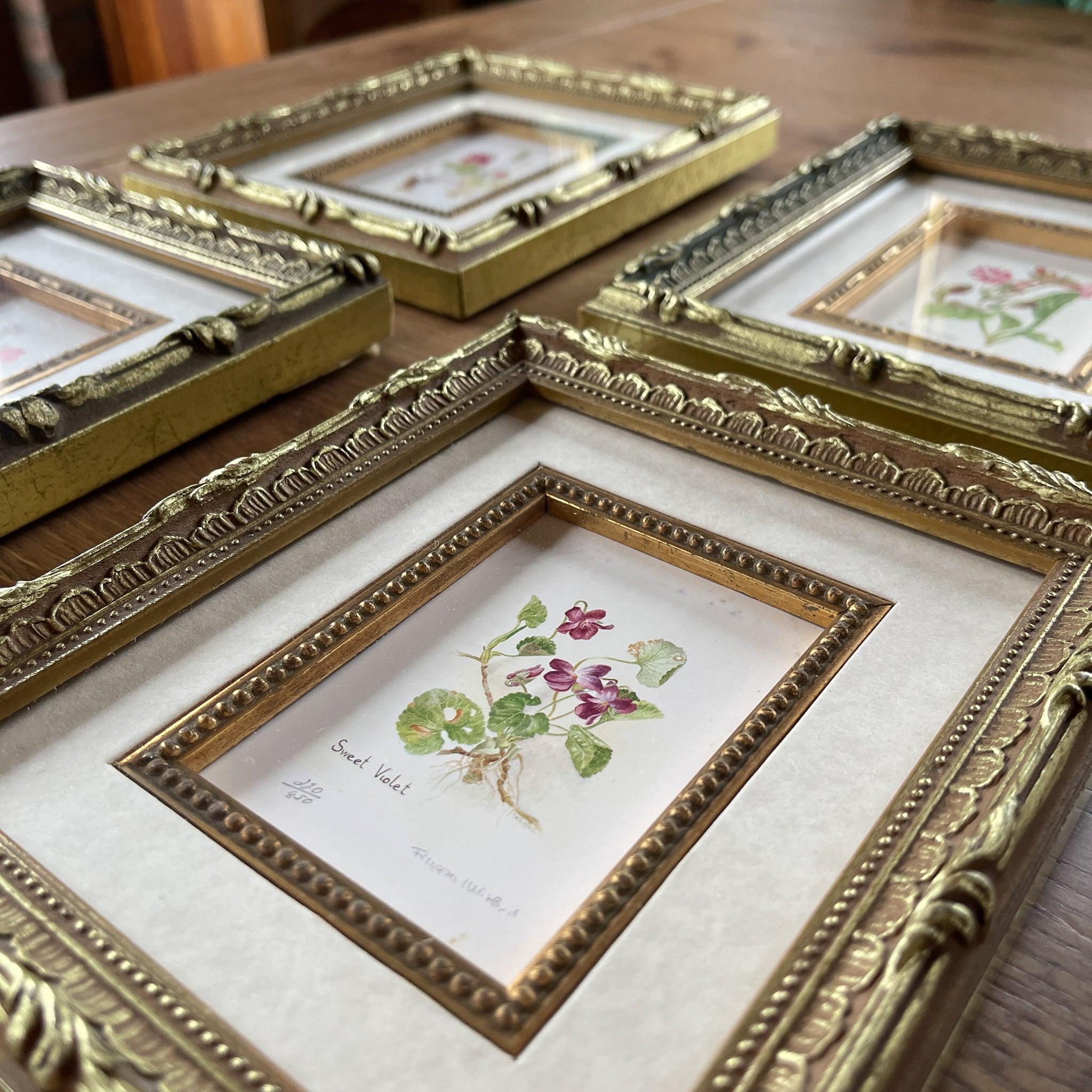 Vier schilderijtjes Botanical Florals (Filippa Whitford) - The Collectionist