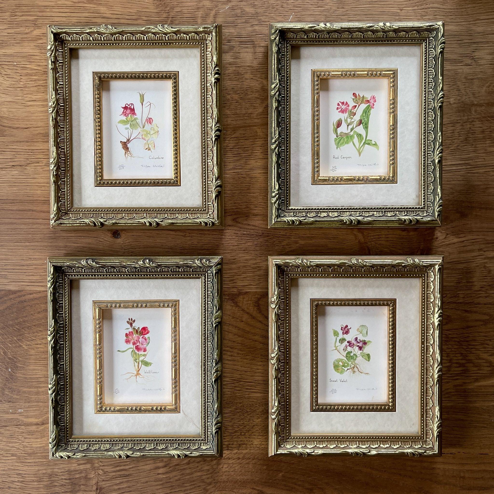 Vier schilderijtjes Botanical Florals (Filippa Whitford) - The Collectionist