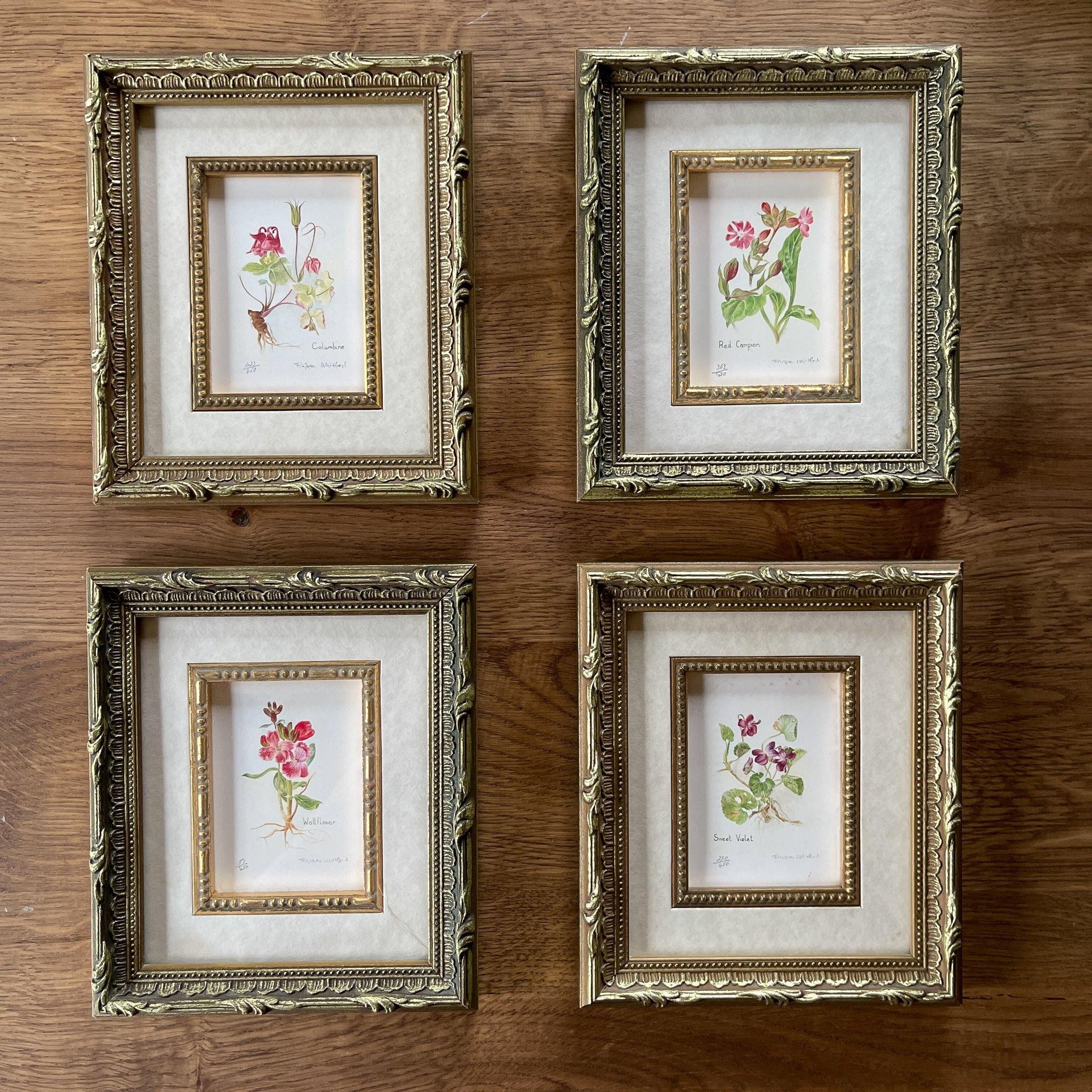 Vier schilderijtjes Botanical Florals (Filippa Whitford) - The Collectionist