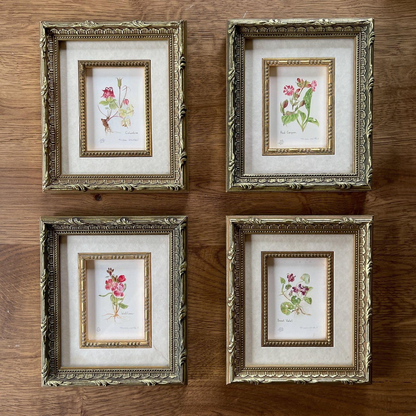 Vier schilderijtjes Botanical Florals (Filippa Whitford) - Bamestra Curiosa