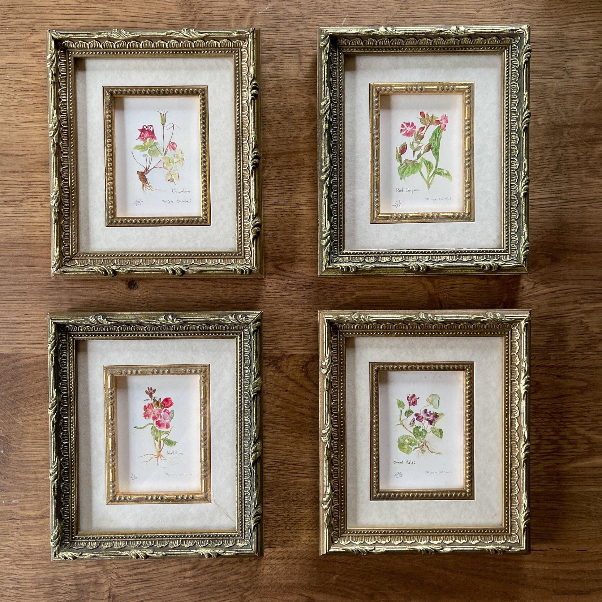 Vier schilderijtjes Botanical Florals (Filippa Whitford) - Bamestra Curiosa