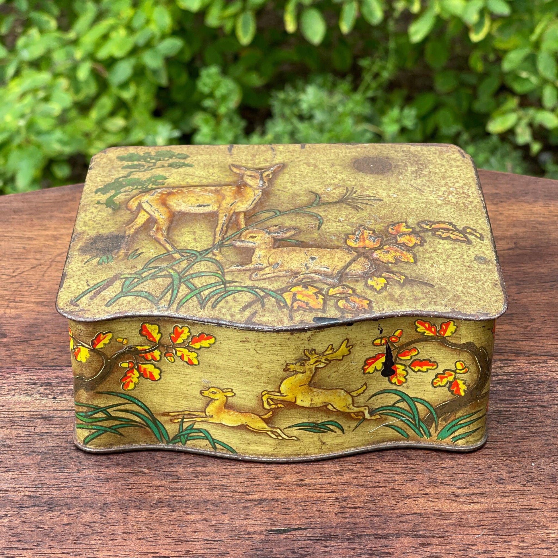 Vintage blik met herten - Bamestra Curiosa