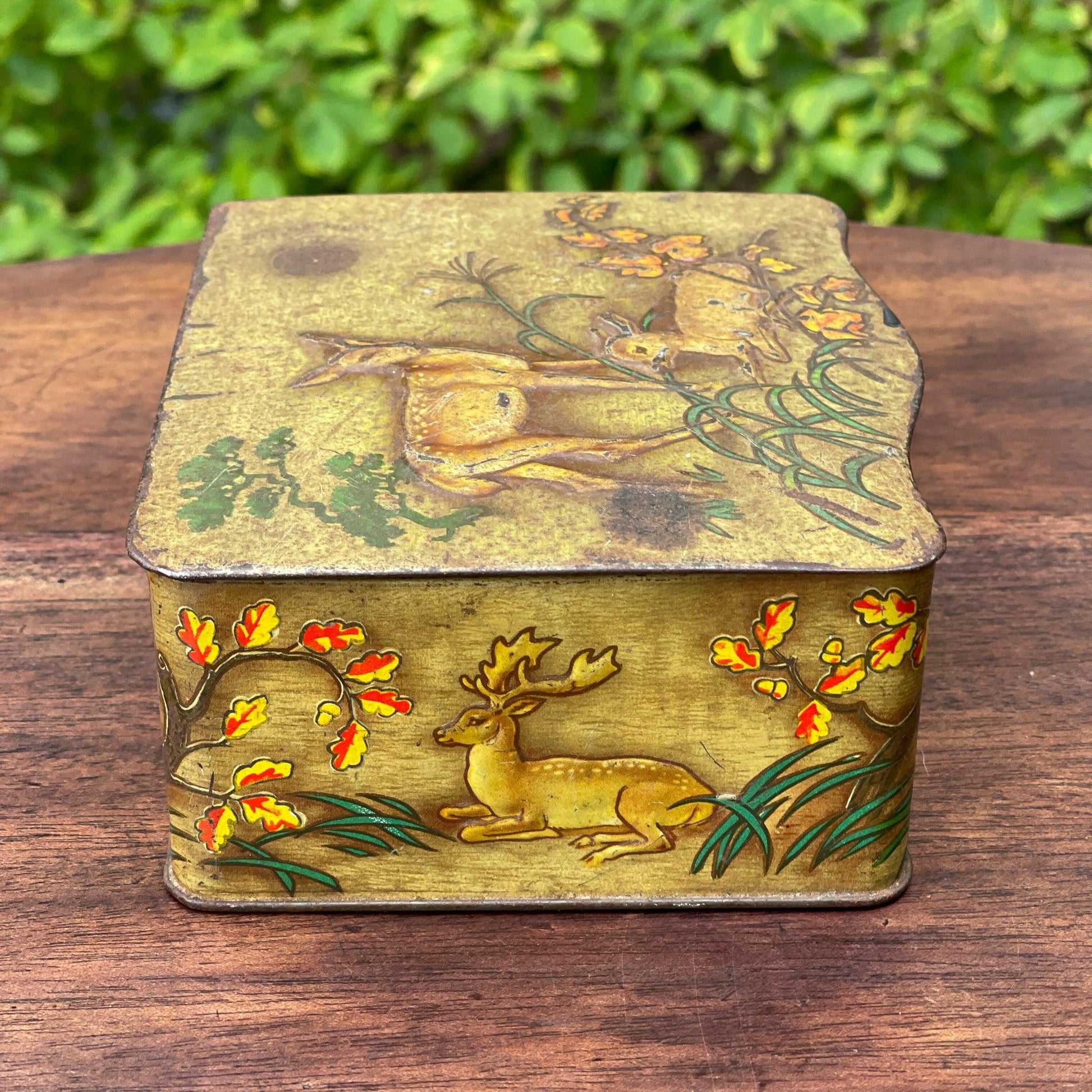 Vintage blik met herten - Bamestra Curiosa