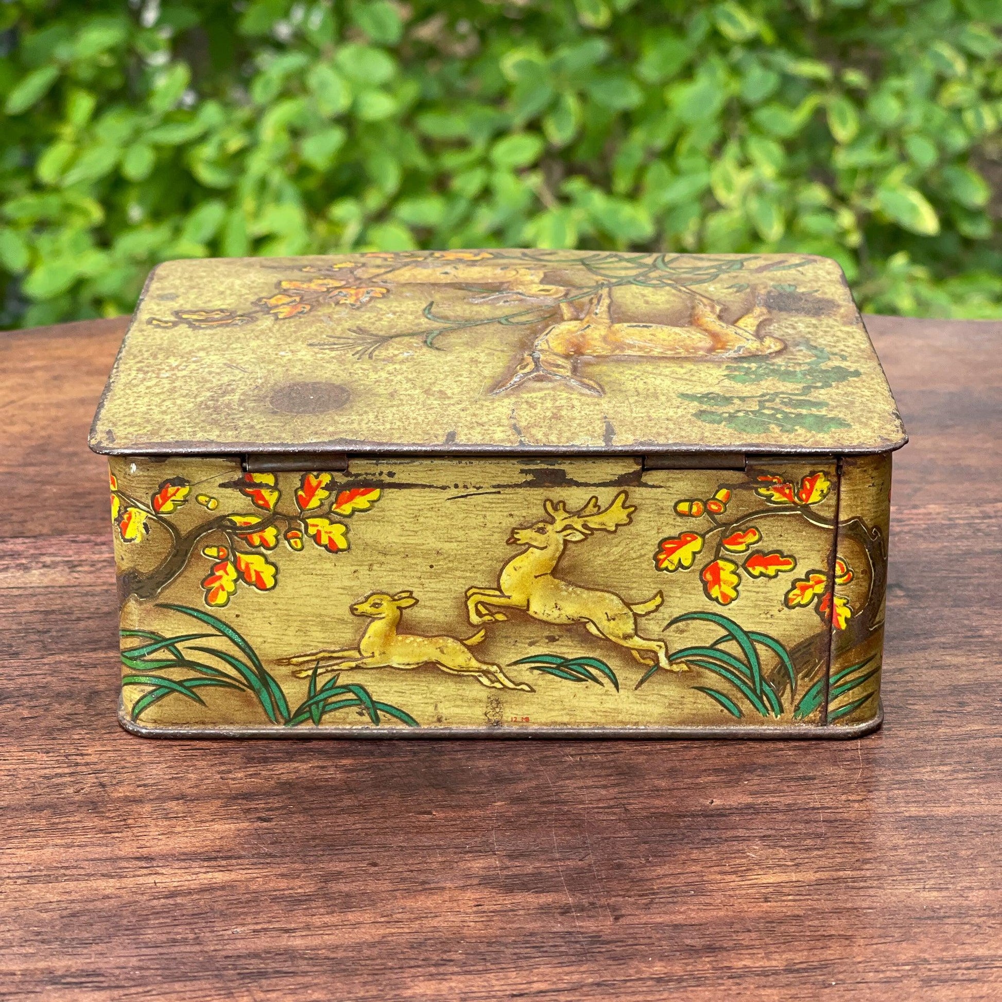 Vintage blik met herten - Bamestra Curiosa