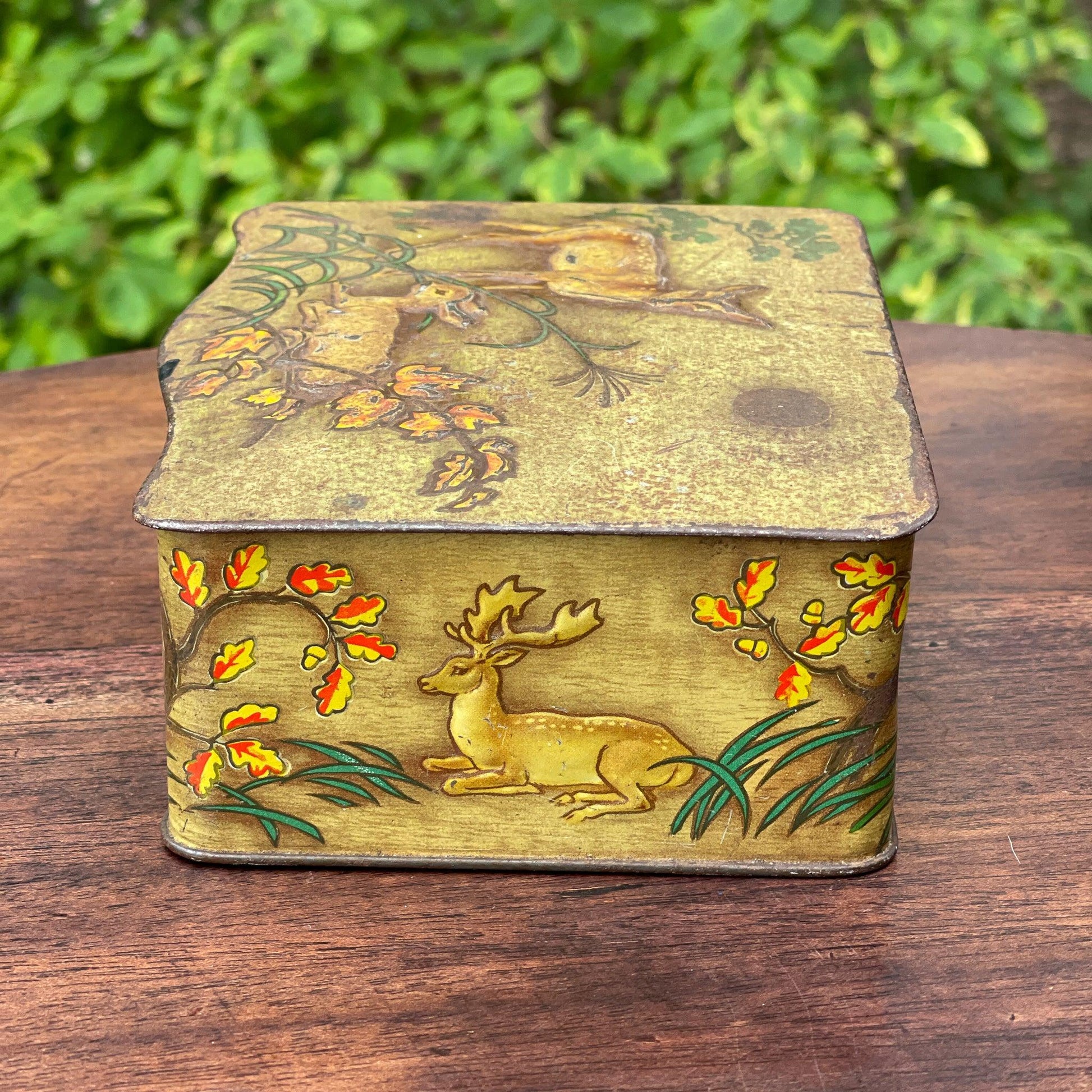 Vintage blik met herten - Bamestra Curiosa