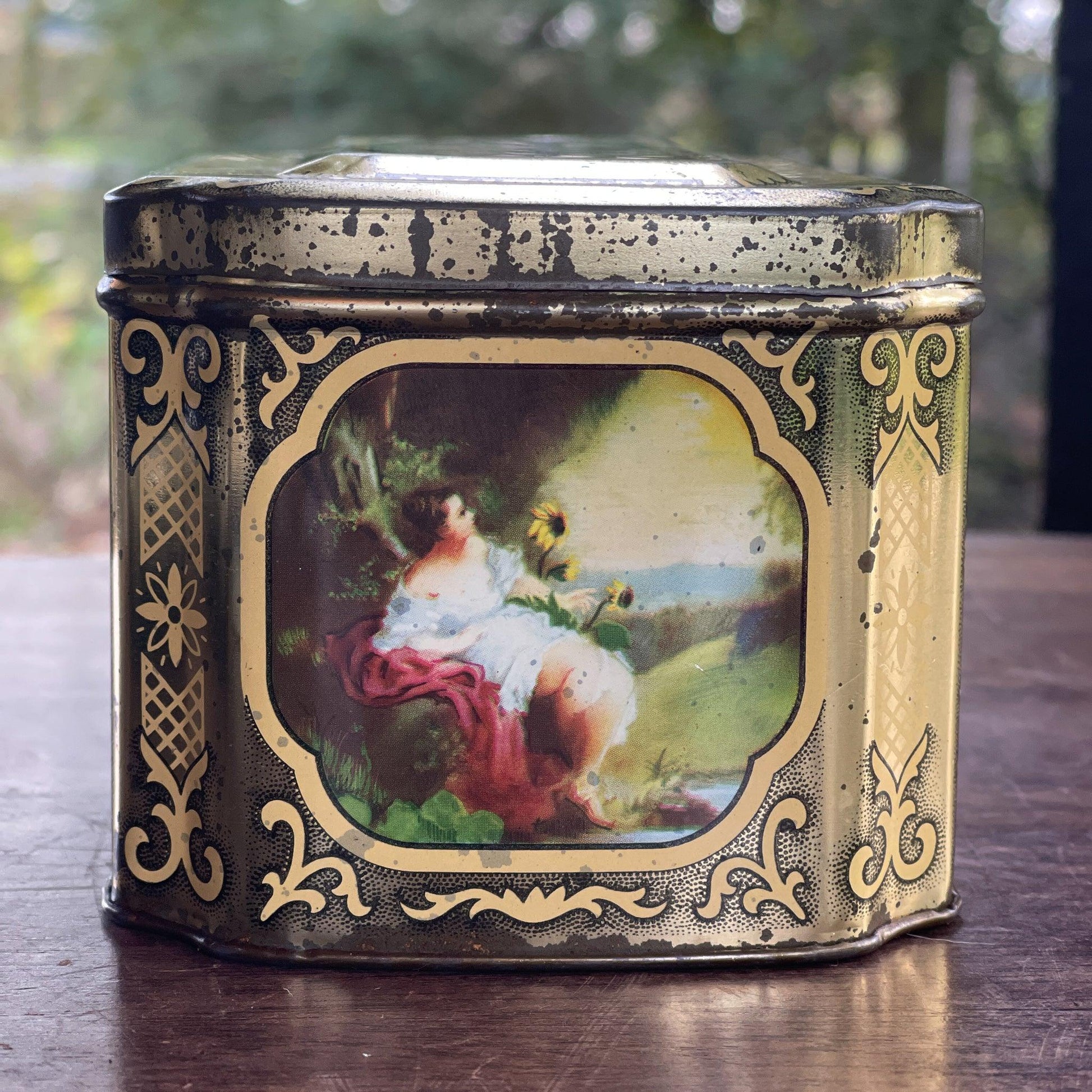 Vintage blik met romantische voorstellingen - Bamestra Curiosa