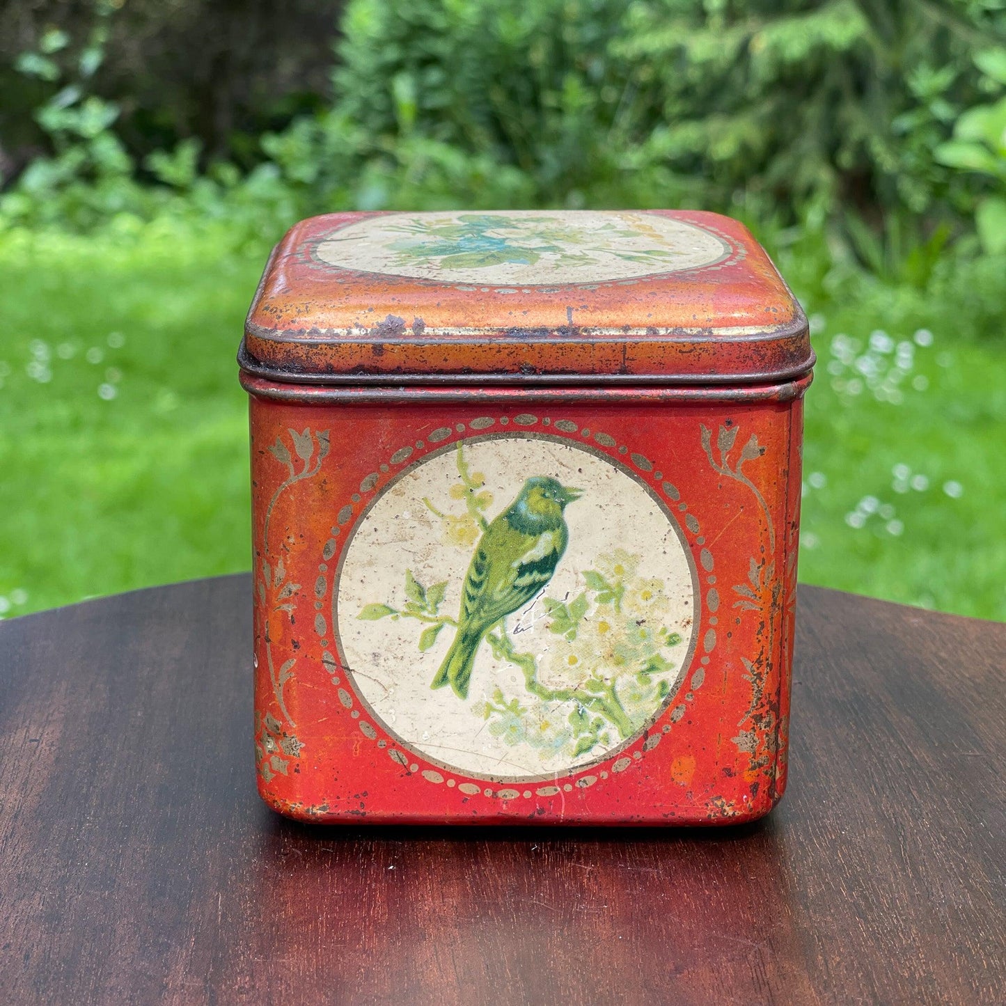 Vintage blik met vogels en bloemen - Bamestra Curiosa