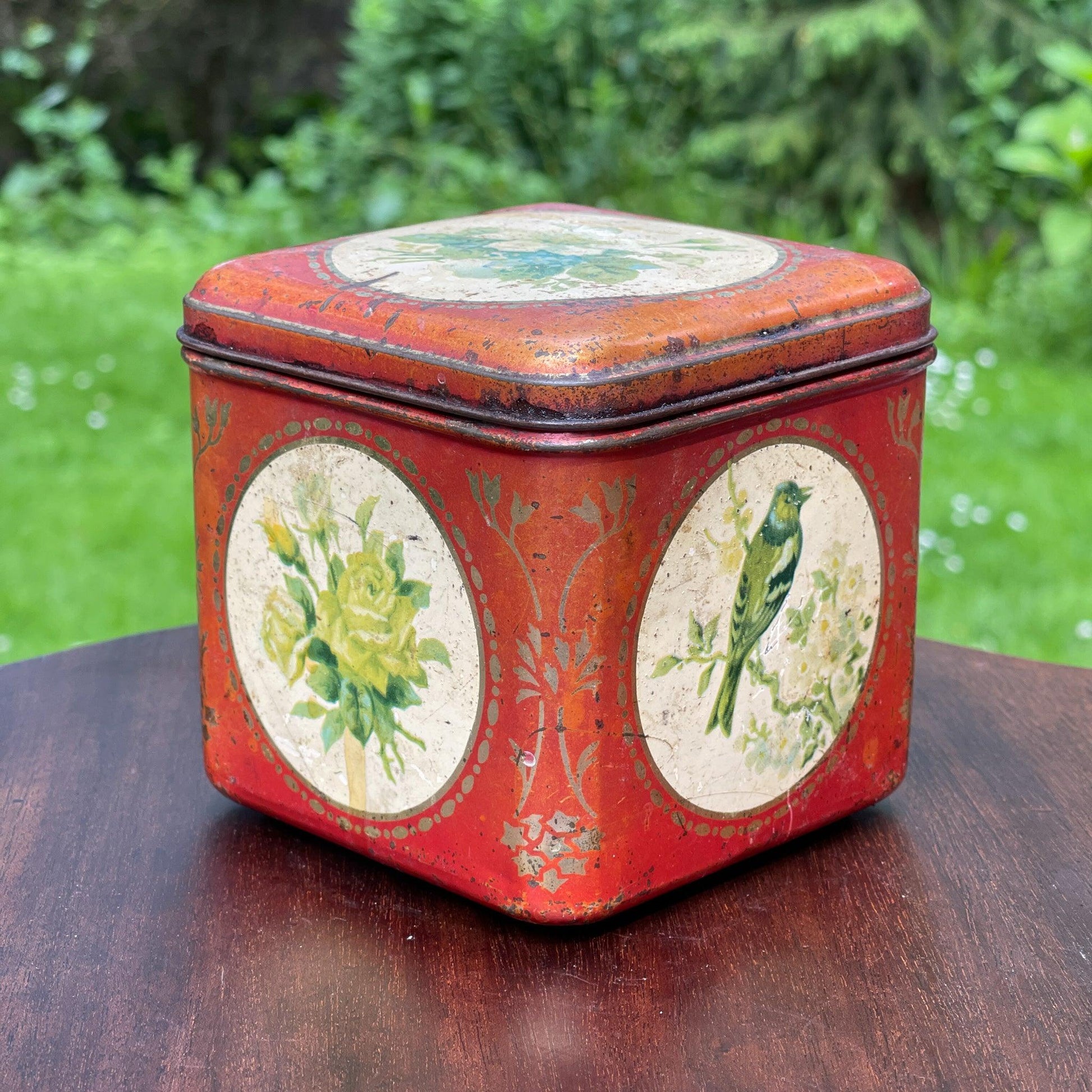 Vintage blik met vogels en bloemen - Bamestra Curiosa