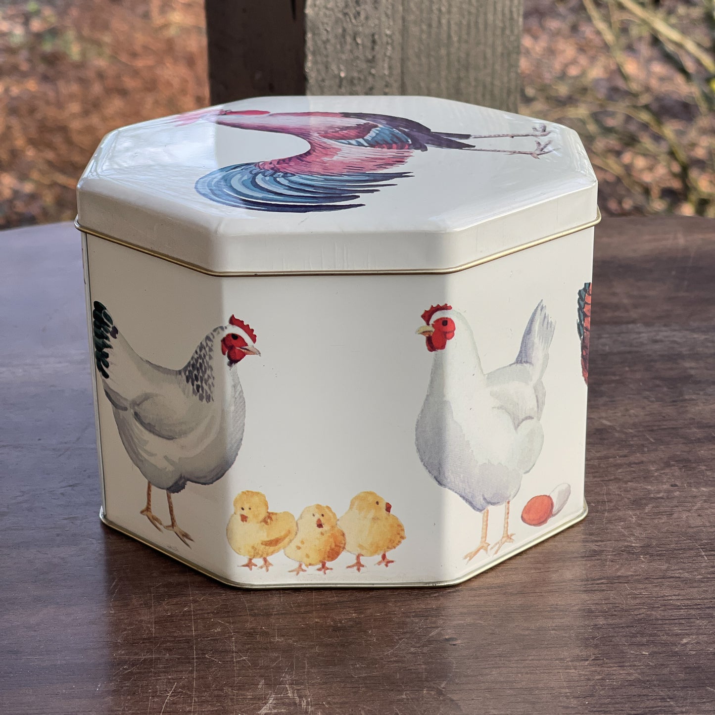 Bewaarblik met kippen en kuikens - Bamestra Curiosa