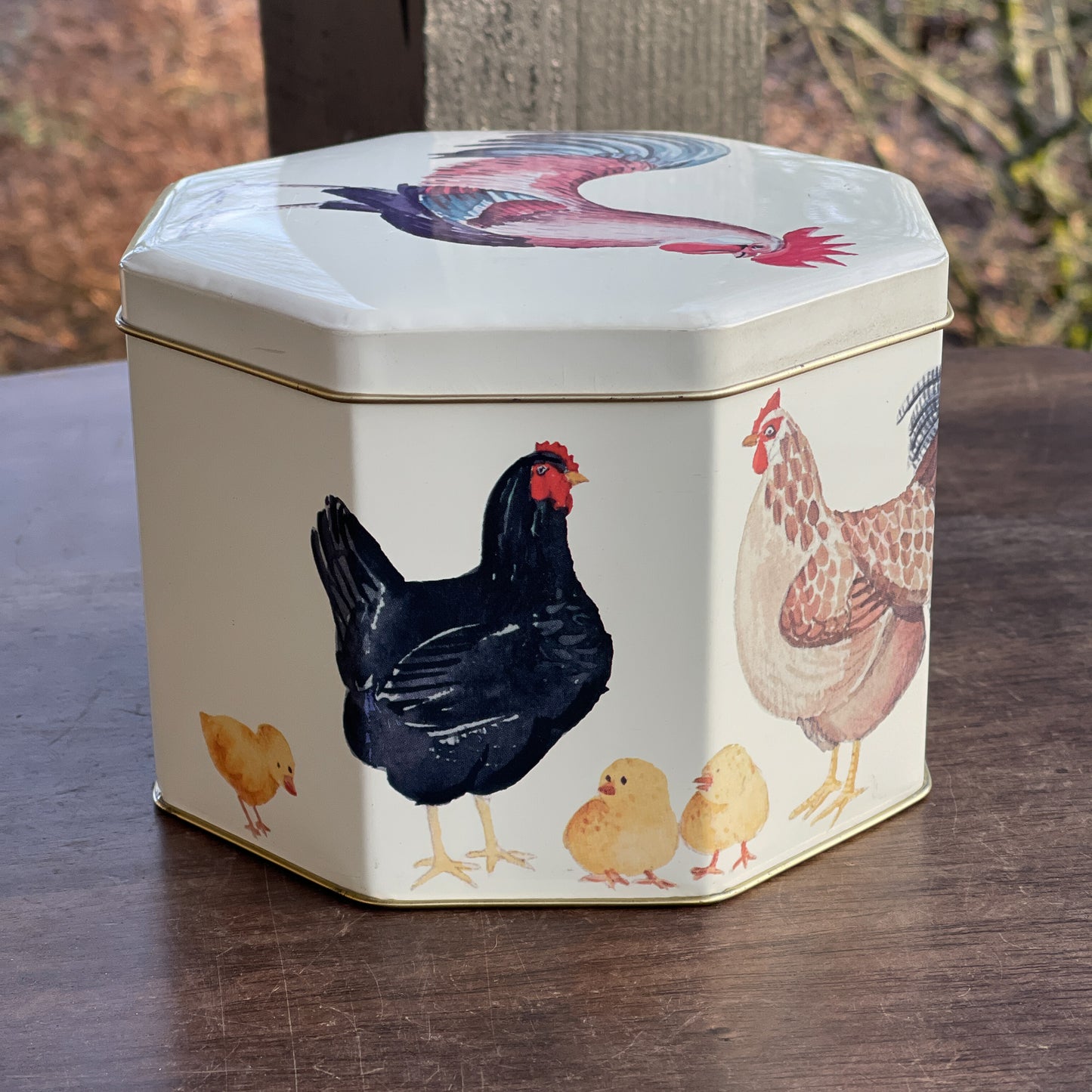 Bewaarblik met kippen en kuikens - Bamestra Curiosa