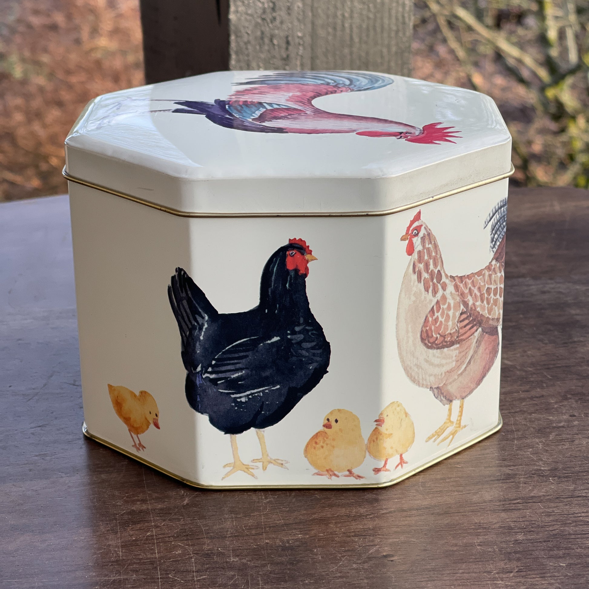 Bewaarblik met kippen en kuikens - Bamestra Curiosa
