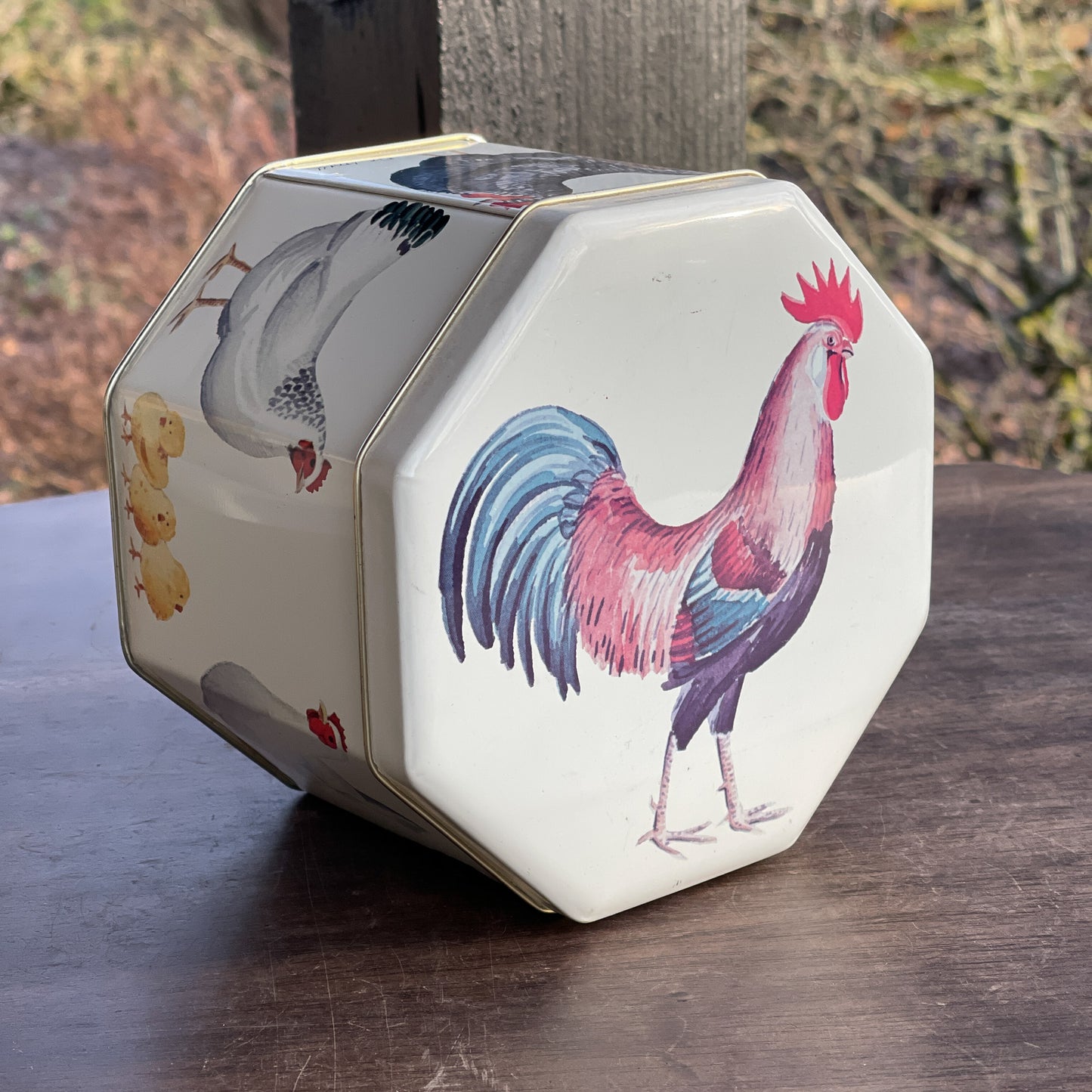 Bewaarblik met kippen en kuikens - Bamestra Curiosa