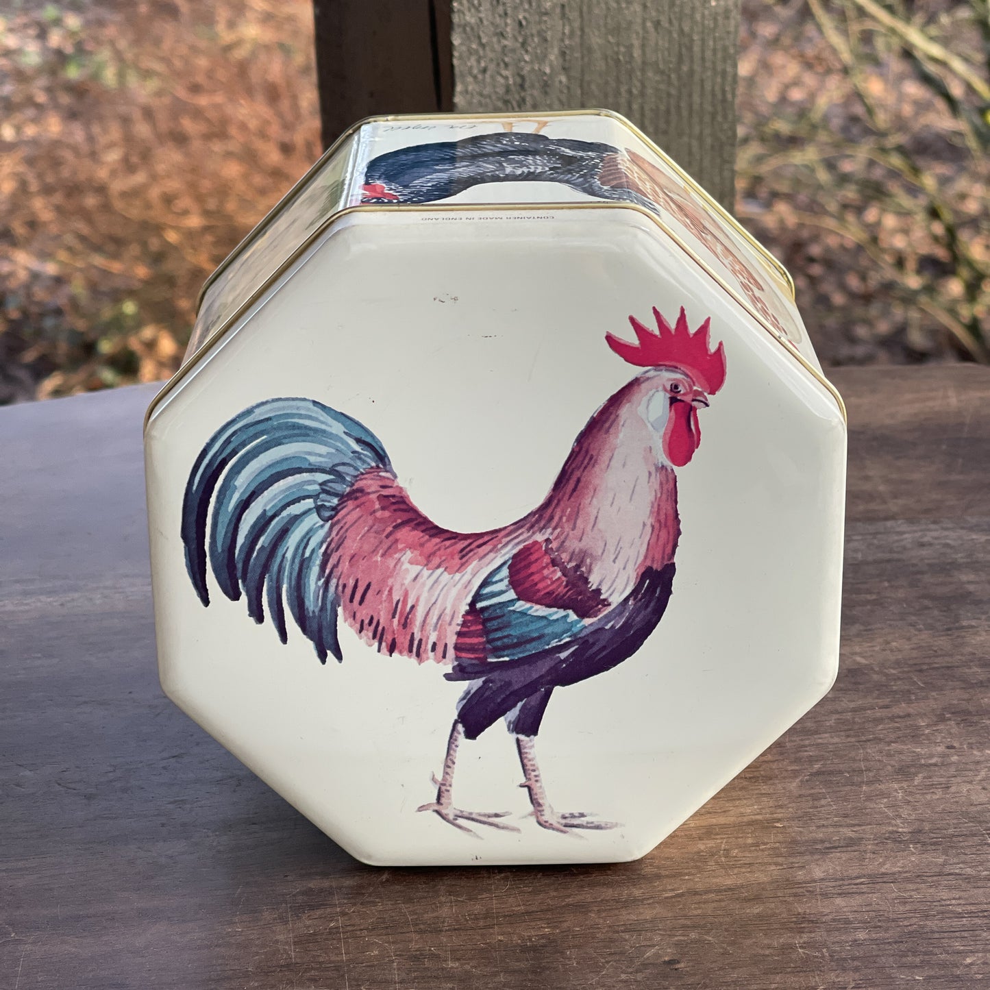 Bewaarblik met kippen en kuikens - Bamestra Curiosa