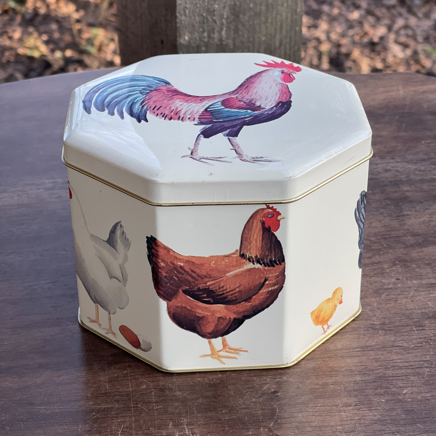 Bewaarblik met kippen en kuikens - Bamestra Curiosa