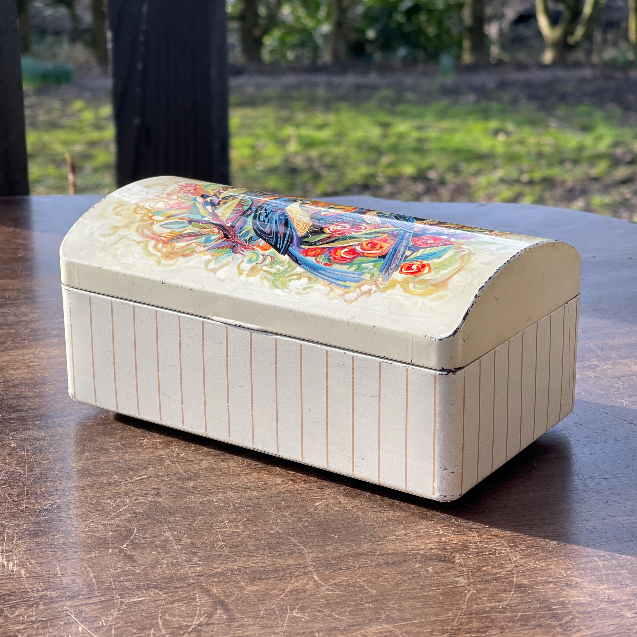 Blik Met Vogels - Bamestra Curiosa