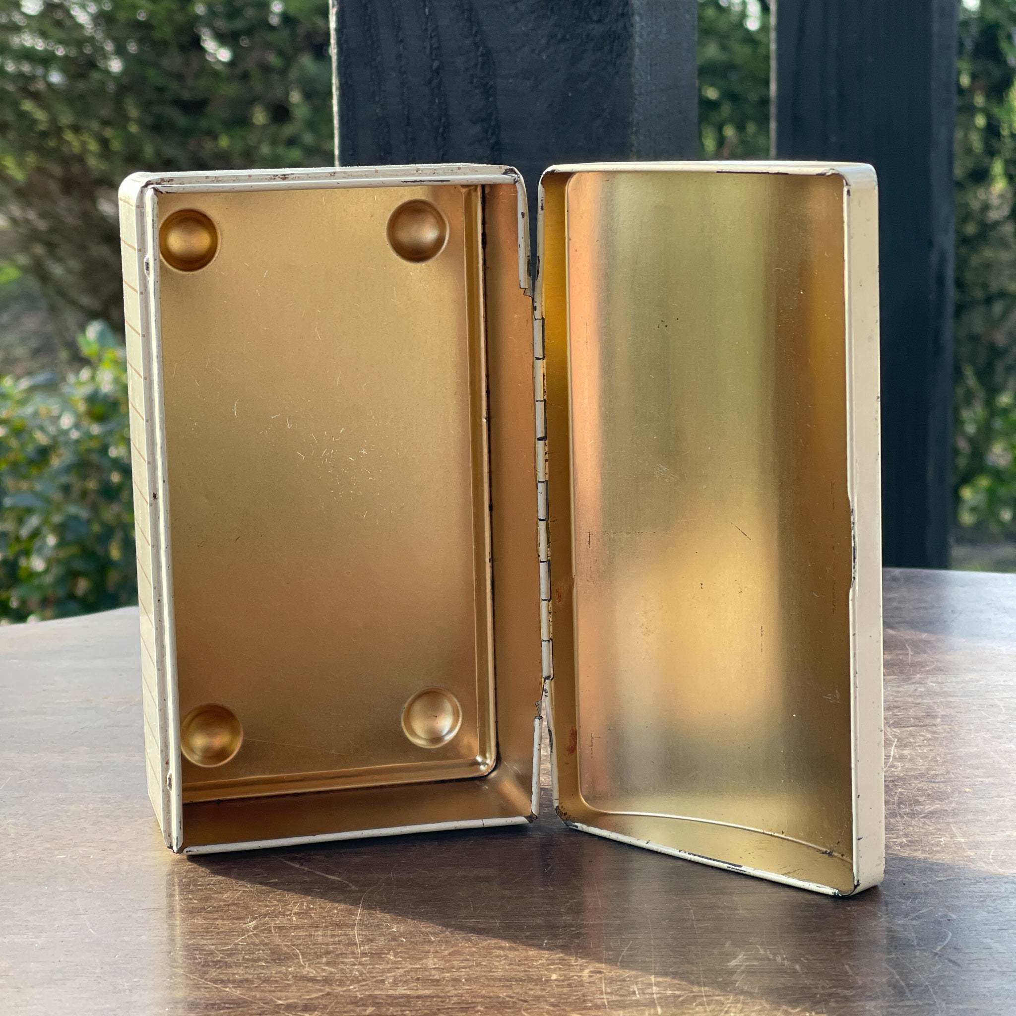 Blik Met Vogels - Bamestra Curiosa