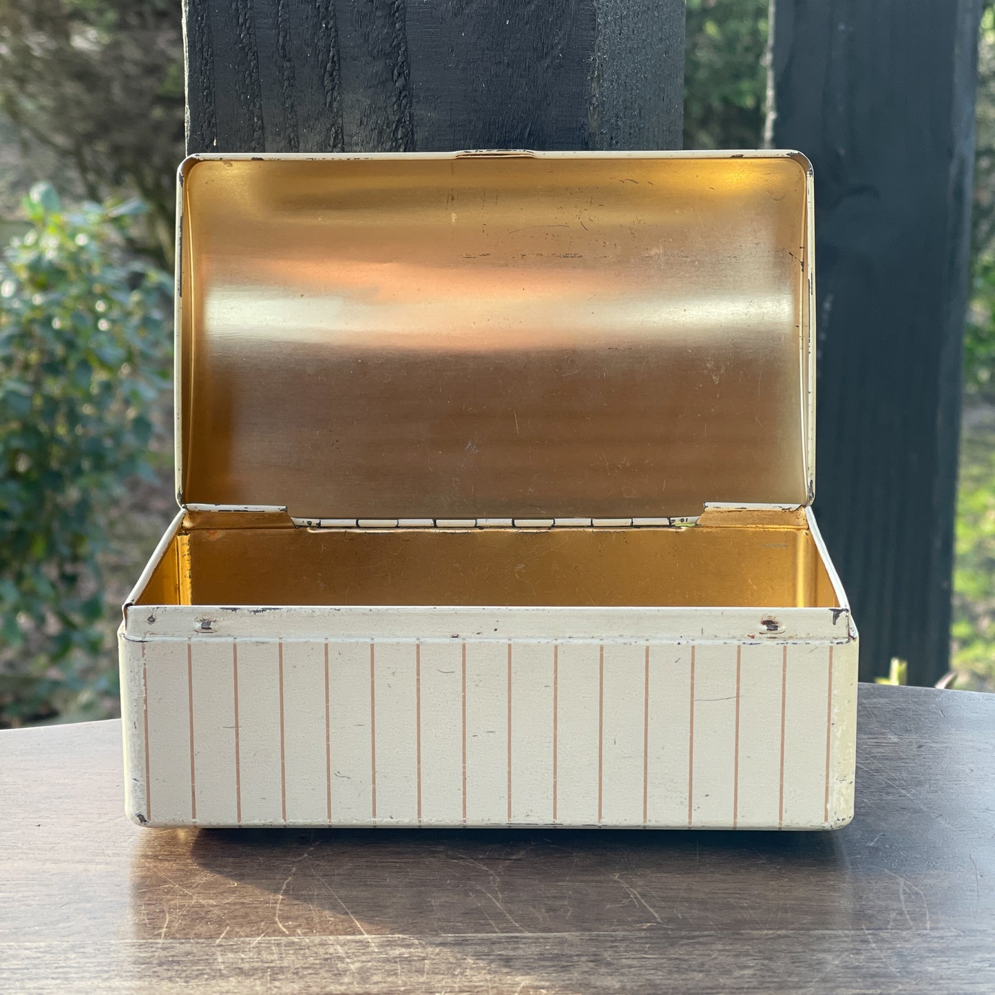 Blik Met Vogels - Bamestra Curiosa