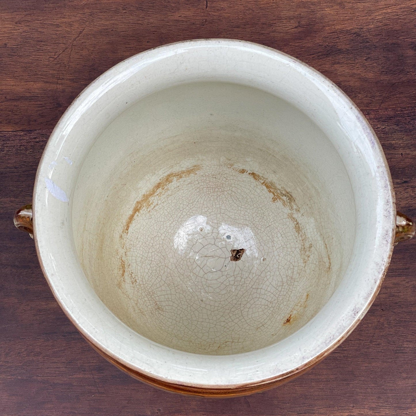 Vintage bloempot met zwanen - Bamestra Curiosa