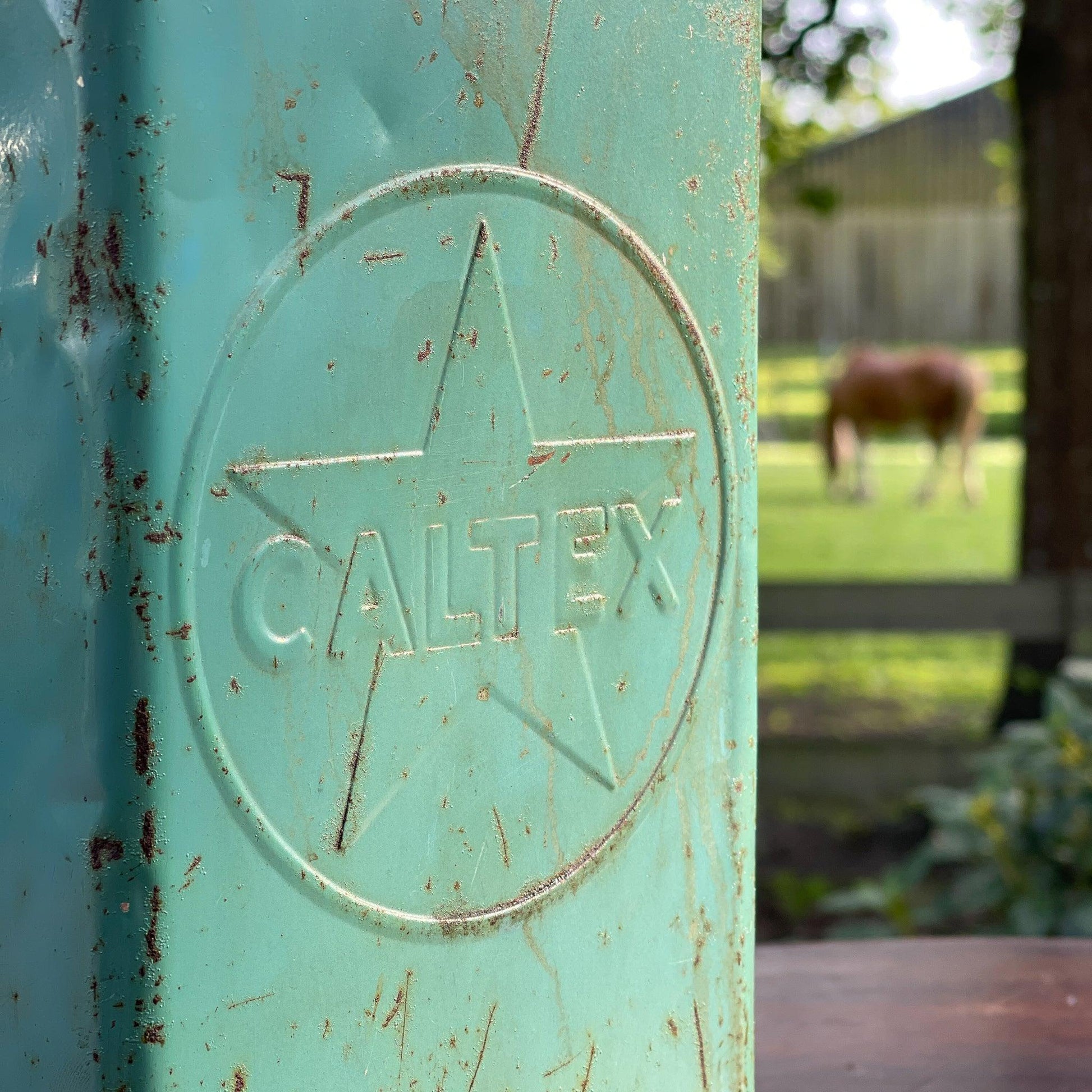 Vintage Caltex petroleum kan - Bamestra Curiosa