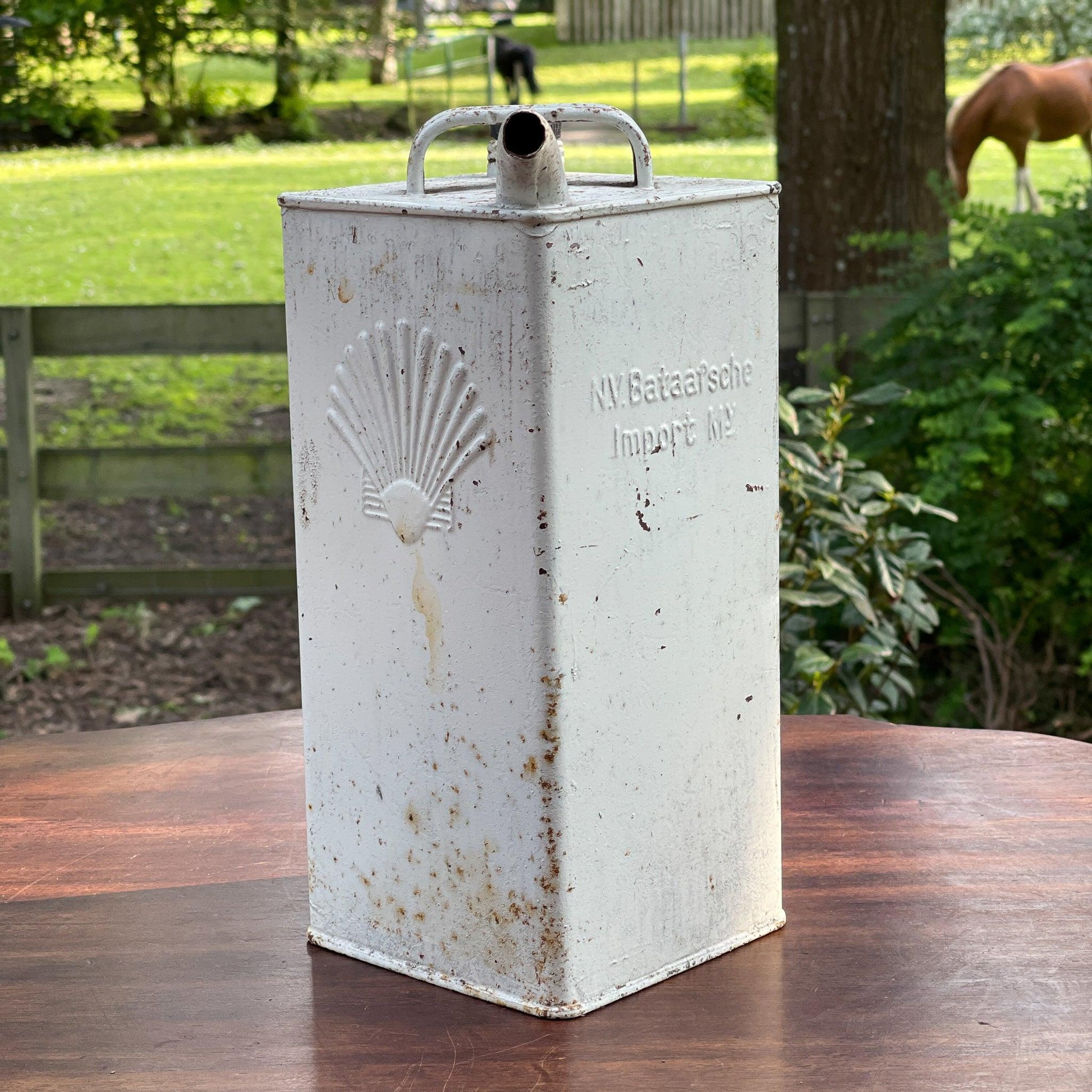 Vintage petroleum kan Shell - Bamestra Curiosa