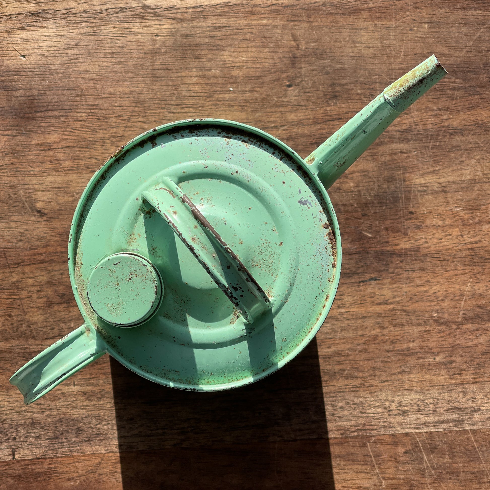 Vintage Petroleumkan - Bamestra Curiosa